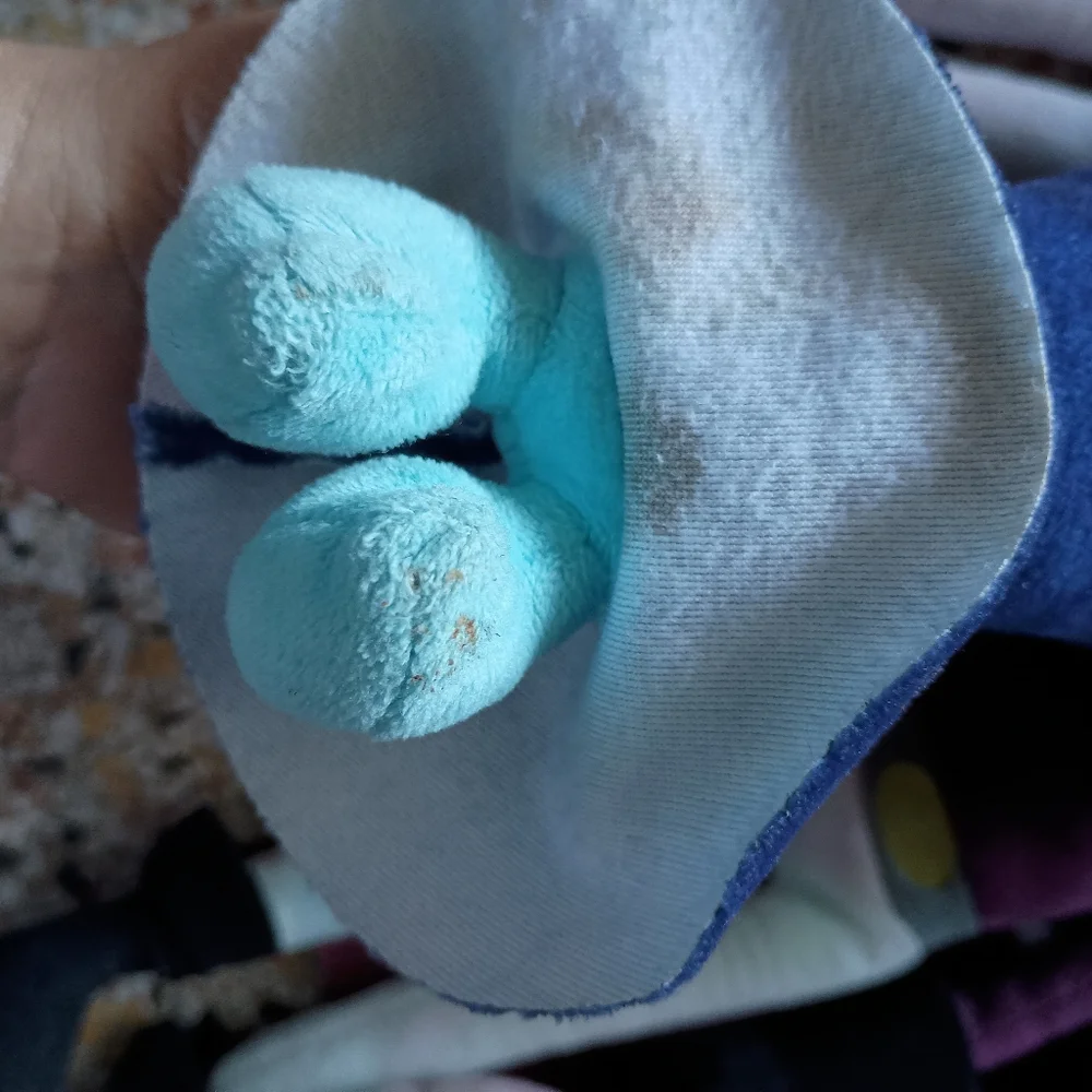 Steven Universe - Picture 13 of 16